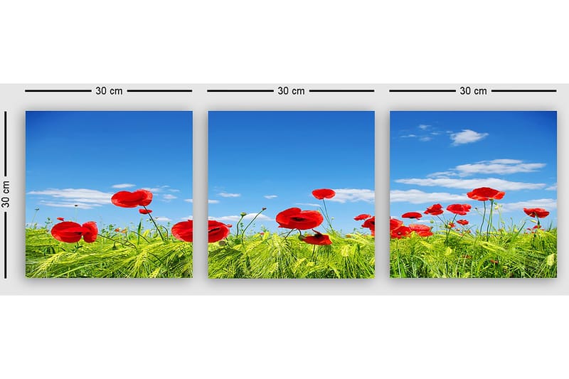 Dekorativ Canvastavla 3-Delar 30x30 cm - Flerfärgad - Inredning - Tavlor & posters - Canvastavla