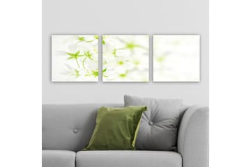 Dekorativ Canvastavla 3-Delar 30x30 cm - Flerfärgad - Inredning - Tavlor & posters - Canvastavla