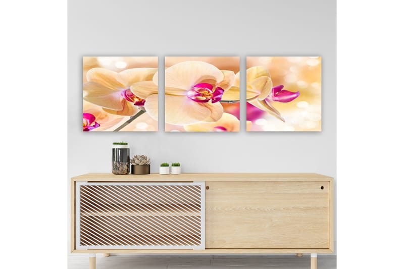 Dekorativ Canvastavla 3-Delar 30x30 cm - Flerfärgad - Inredning - Tavlor & posters - Canvastavla
