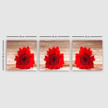 Dekorativ Canvastavla 3-Delar 30x30 cm - Flerfärgad - Inredning - Tavlor & posters - Canvastavla
