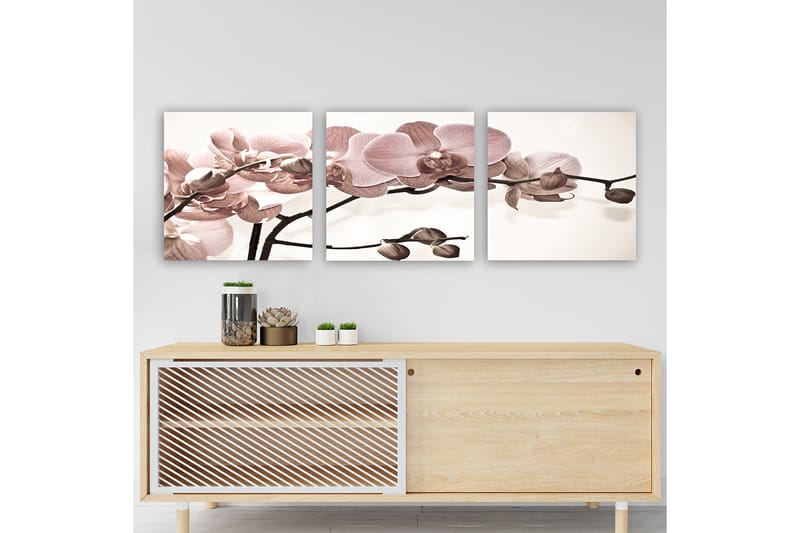 Dekorativ Canvastavla 3-Delar 30x30 cm - Flerfärgad - Inredning - Tavlor & posters - Canvastavla