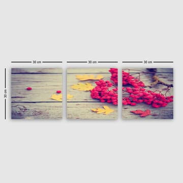 Dekorativ Canvastavla 3-Delar 30x30 cm - Flerfärgad - Inredning - Tavlor & posters - Canvastavla