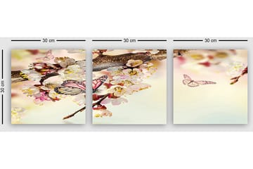 Dekorativ Canvastavla 3-Delar 30x30 cm - Flerfärgad - Inredning - Tavlor & posters - Canvastavla