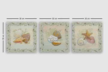 Dekorativ Canvastavla 3-Delar 30x30 cm - Flerfärgad - Inredning - Tavlor & posters - Canvastavla