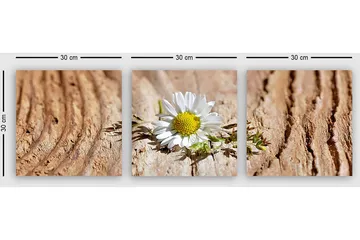 Dekorativ Canvastavla 3-Delar 30x30 cm - Flerfärgad - Inredning - Tavlor & posters - Canvastavla