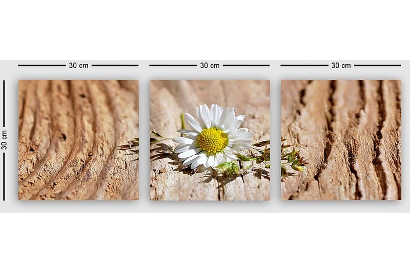 Dekorativ Canvastavla 3-Delar 30x30 cm - Flerfärgad - Inredning - Tavlor & posters - Canvastavla
