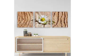 Dekorativ Canvastavla 3-Delar 30x30 cm - Flerfärgad - Inredning - Tavlor & posters - Canvastavla