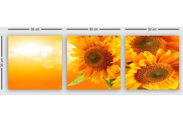 Dekorativ Canvastavla 3-Delar 30x30 cm - Flerfärgad - Inredning - Tavlor & posters - Canvastavla