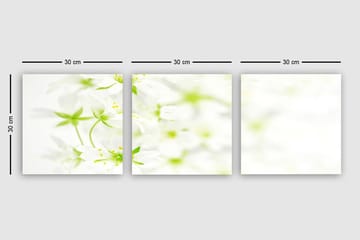 Dekorativ Canvastavla 3-Delar 30x30 cm - Flerfärgad - Inredning - Tavlor & posters - Canvastavla