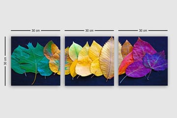 Dekorativ Canvastavla 3-Delar 30x30 cm - Flerfärgad - Inredning - Tavlor & posters - Canvastavla