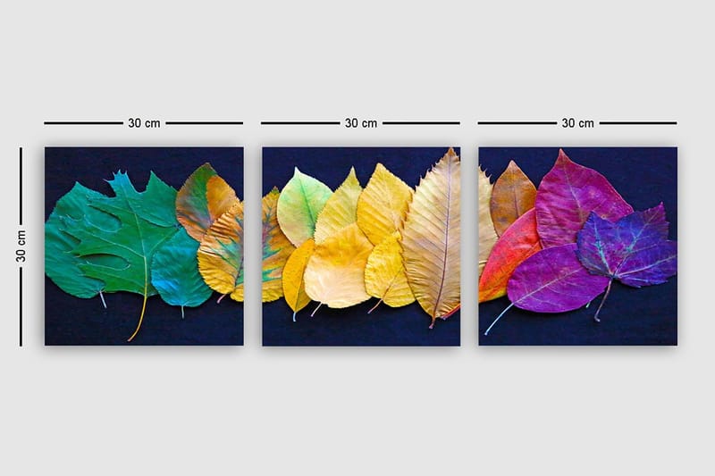 Dekorativ Canvastavla 3-Delar 30x30 cm - Flerfärgad - Inredning - Tavlor & posters - Canvastavla