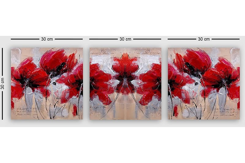 Dekorativ Canvastavla 3-Delar 30x30 cm - Flerfärgad - Inredning - Tavlor & posters - Canvastavla