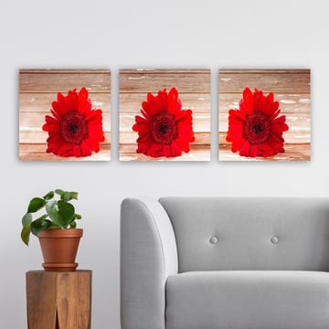 Dekorativ Canvastavla 3-Delar 30x30 cm - Flerfärgad - Inredning - Tavlor & posters - Canvastavla