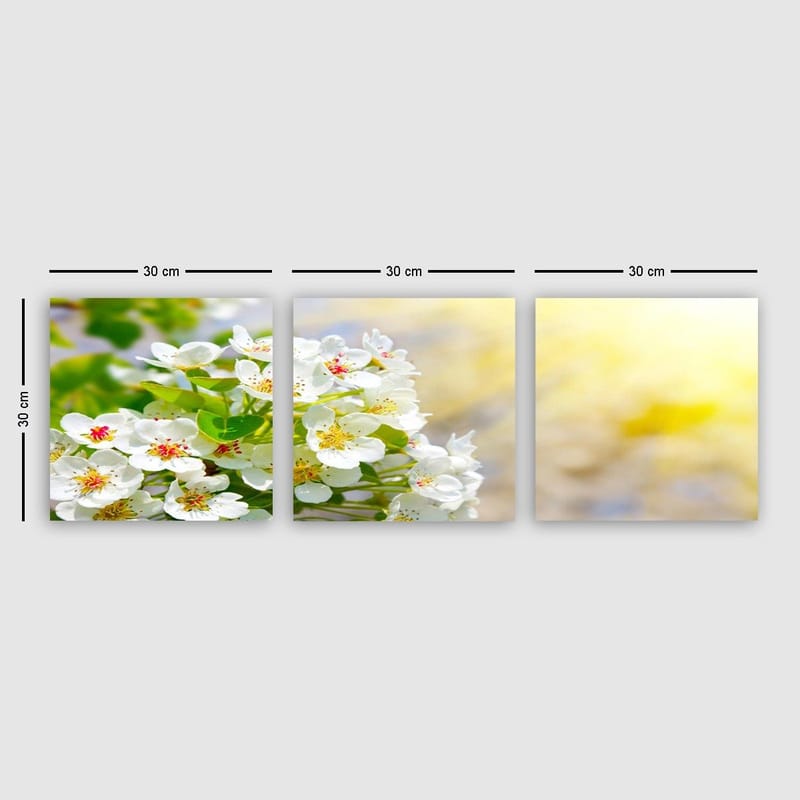 Dekorativ Canvastavla 3-Delar 30x30 cm, Flerfärgad