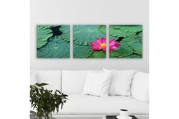 Dekorativ Canvastavla 3-Delar 30x30 cm - Flerfärgad - Inredning - Tavlor & posters - Canvastavla