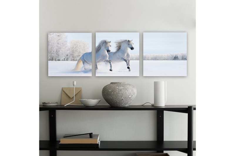 Dekorativ Canvastavla 3-Delar 30x30 cm, Flerfärgad