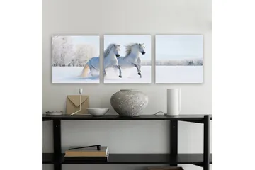 Dekorativ Canvastavla 3-Delar 30x30 cm - Flerfärgad - Inredning - Tavlor & posters - Canvastavla