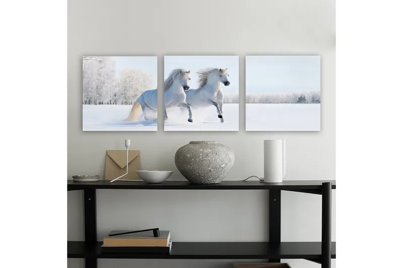 Dekorativ Canvastavla 3-Delar 30x30 cm, Flerfärgad