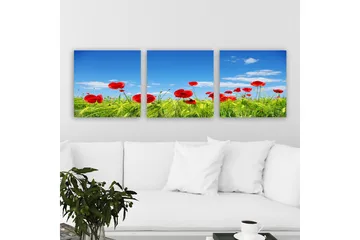 Dekorativ Canvastavla 3-Delar 30x30 cm - Flerfärgad - Inredning - Tavlor & posters - Canvastavla