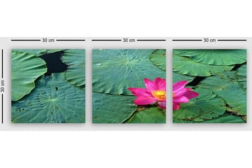 Dekorativ Canvastavla 3-Delar 30x30 cm - Flerfärgad - Inredning - Tavlor & posters - Canvastavla