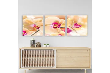 Dekorativ Canvastavla 3-Delar 30x30 cm - Flerfärgad - Inredning - Tavlor & posters - Canvastavla