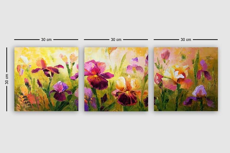 Dekorativ Canvastavla 3-Delar 30x30 cm - Flerfärgad - Inredning - Tavlor & posters - Canvastavla