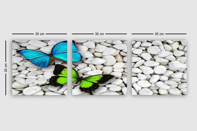 Dekorativ Canvastavla 3-Delar 30x30 cm - Flerfärgad - Inredning - Tavlor & posters - Canvastavla