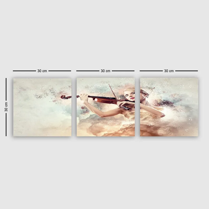 Dekorativ Canvastavla 3-Delar 30x30 cm, Flerfärgad