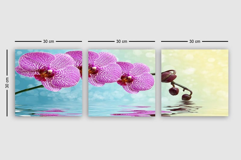 Dekorativ Canvastavla 3-Delar 30x30 cm - Flerfärgad - Inredning - Tavlor & posters - Canvastavla