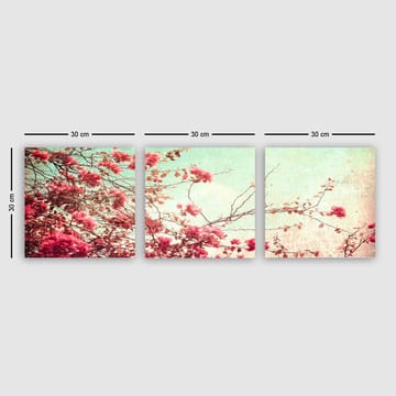 Dekorativ Canvastavla 3-Delar 30x30 cm - Flerfärgad - Inredning - Tavlor & posters - Canvastavla