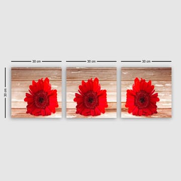 Dekorativ Canvastavla 3-Delar 30x30 cm - Flerfärgad - Inredning - Tavlor & posters - Canvastavla