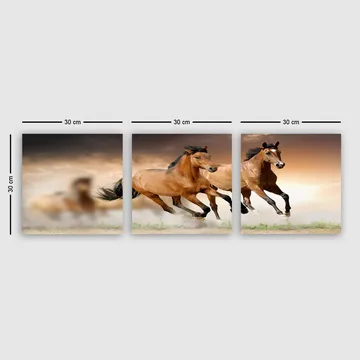 Dekorativ Canvastavla 3-Delar 30x30 cm - Flerfärgad - Inredning - Tavlor & posters - Canvastavla