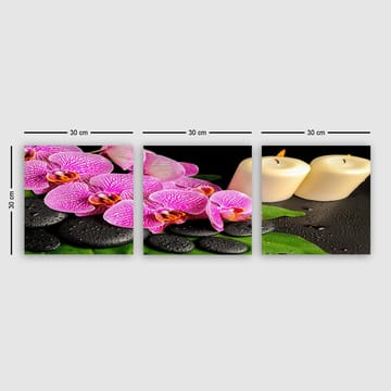 Dekorativ Canvastavla 3-Delar 30x30 cm - Flerfärgad - Inredning - Tavlor & posters - Canvastavla
