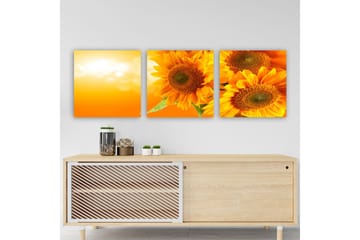 Dekorativ Canvastavla 3-Delar 30x30 cm - Flerfärgad - Inredning - Tavlor & posters - Canvastavla