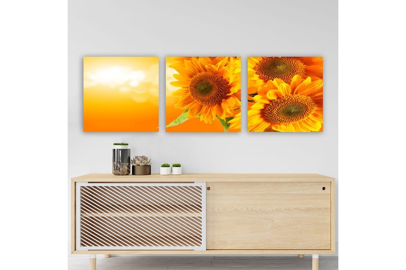 Dekorativ Canvastavla 3-Delar 30x30 cm, Flerfärgad