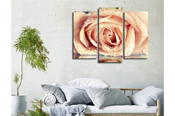 Dekorativ Canvastavla 3-Delar 45x20 cm - Flerfärgad - Inredning - Tavlor & posters - Canvastavla