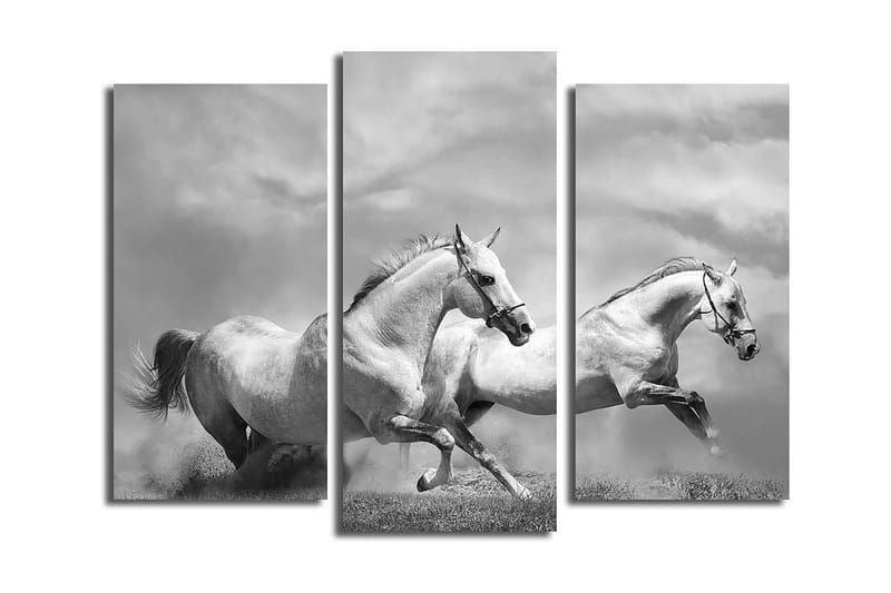 Dekorativ Canvastavla 3-Delar 45x20 cm - Flerfärgad - Inredning - Tavlor & posters - Canvastavla