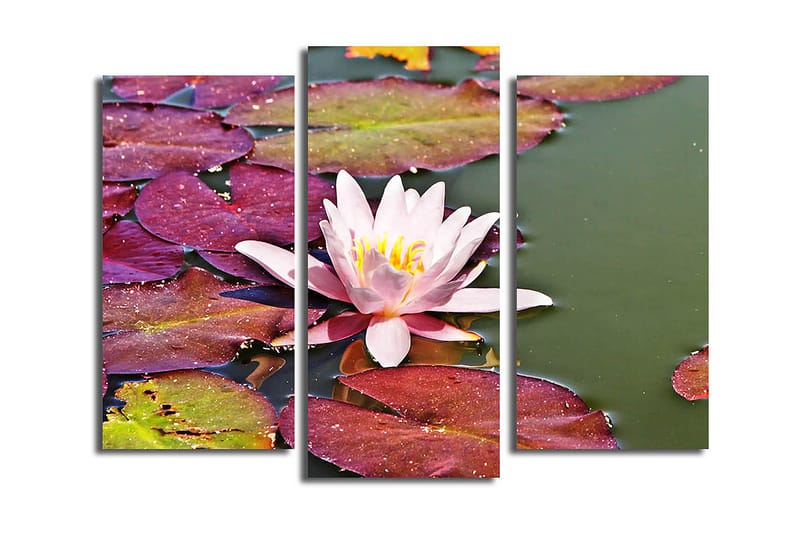 Dekorativ Canvastavla 3-Delar 45x20 cm - Flerfärgad - Inredning - Tavlor & posters - Canvastavla