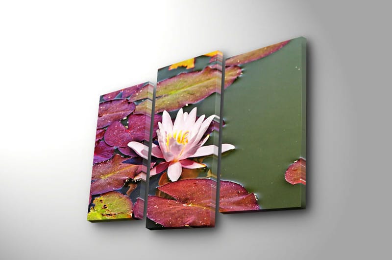 Dekorativ Canvastavla 3-Delar 45x20 cm - Flerfärgad - Inredning - Tavlor & posters - Canvastavla