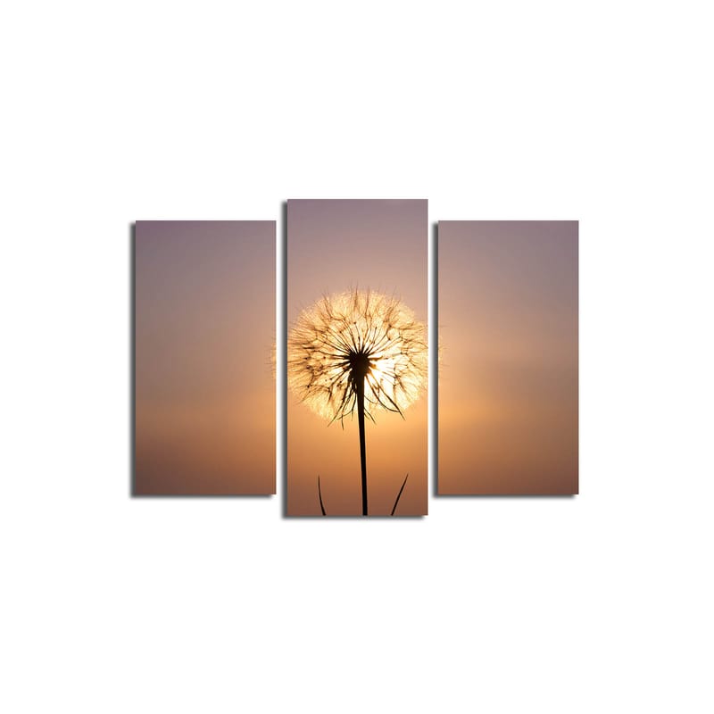 Dekorativ Canvastavla 3-Delar 45x20 cm - Flerfärgad - Inredning - Tavlor & posters - Canvastavla