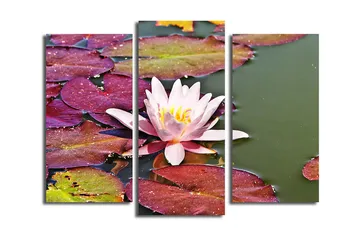 Dekorativ Canvastavla 3-Delar 45x20 cm - Flerfärgad - Inredning - Tavlor & posters - Canvastavla