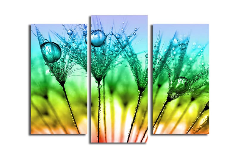 Dekorativ Canvastavla 3-Delar 45x20 cm, Flerfärgad