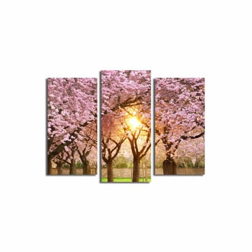 Dekorativ Canvastavla 3-Delar 45x20 cm - Flerfärgad - Inredning - Tavlor & posters - Canvastavla