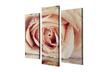 Dekorativ Canvastavla 3-Delar 45x20 cm - Flerfärgad - Inredning - Tavlor & posters - Canvastavla