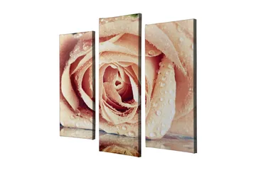 Dekorativ Canvastavla 3-Delar 45x20 cm - Flerfärgad - Inredning - Tavlor & posters - Canvastavla