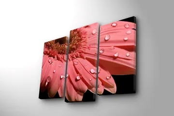 Dekorativ Canvastavla 3-Delar 45x20 cm - Flerfärgad - Inredning - Tavlor & posters - Canvastavla