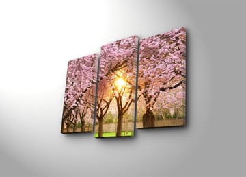 Dekorativ Canvastavla 3-Delar 45x20 cm - Flerfärgad - Inredning - Tavlor & posters - Canvastavla