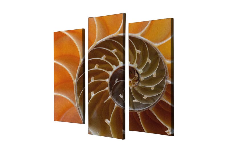 Dekorativ Canvastavla 3-Delar 45x20 cm, Flerfärgad