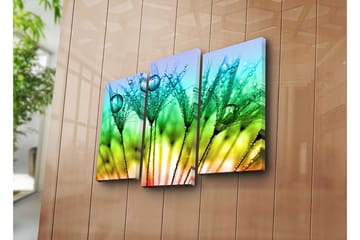 Dekorativ Canvastavla 3-Delar 45x20 cm - Flerfärgad - Inredning - Tavlor & posters - Canvastavla