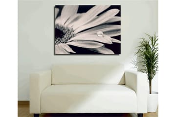 Dekorativ Canvastavla 30x40 cm - Flerfärgad - Inredning - Tavlor & posters - Canvastavla